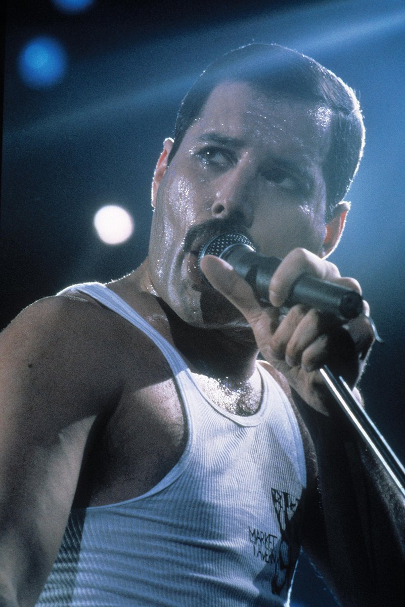 Freddie Mercury Decorative Painting (paper and canvas) art poster printing print