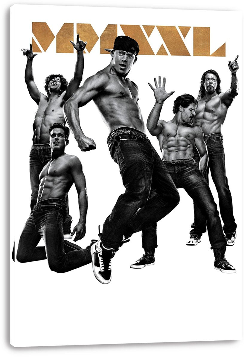 Magic Mike XXL Decorative Painting (paper and canvas) art poster printing print