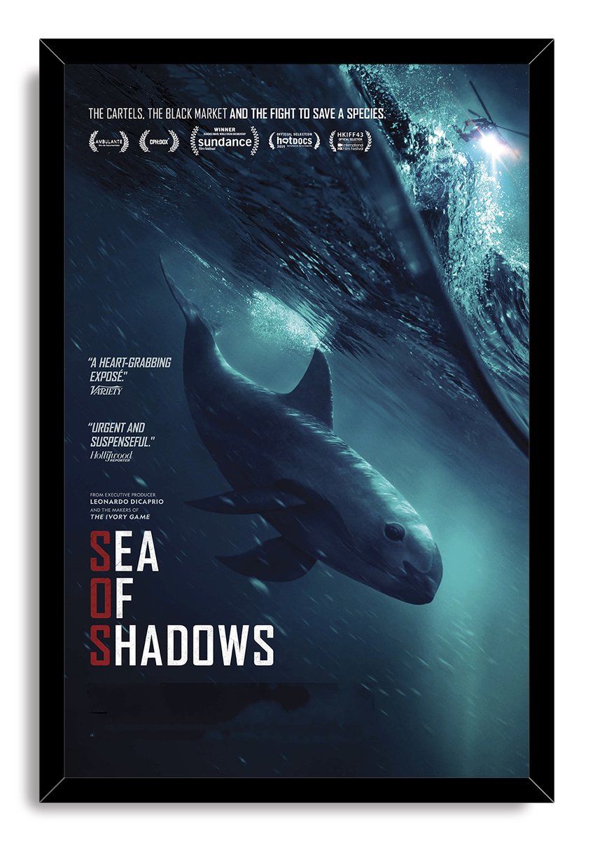 Sea of Shadows Vaquita Decorative Painting (paper and canvas) art poster printing print