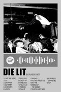 Playboi Carti Die Lit Album Art Decorative Painting (paper and canvas) art poster printing print