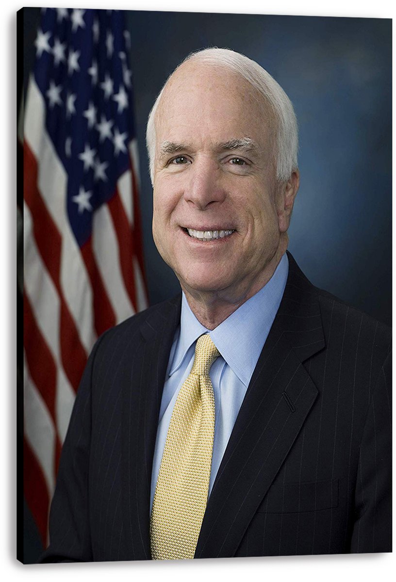 John McCain Decorative Painting (paper and canvas) art poster printing print