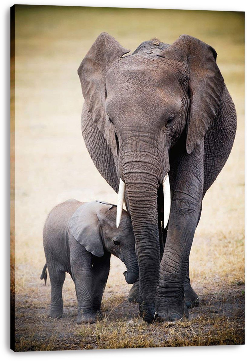 Mother and Baby Elephant Decorative Painting (paper and canvas) art poster printing print