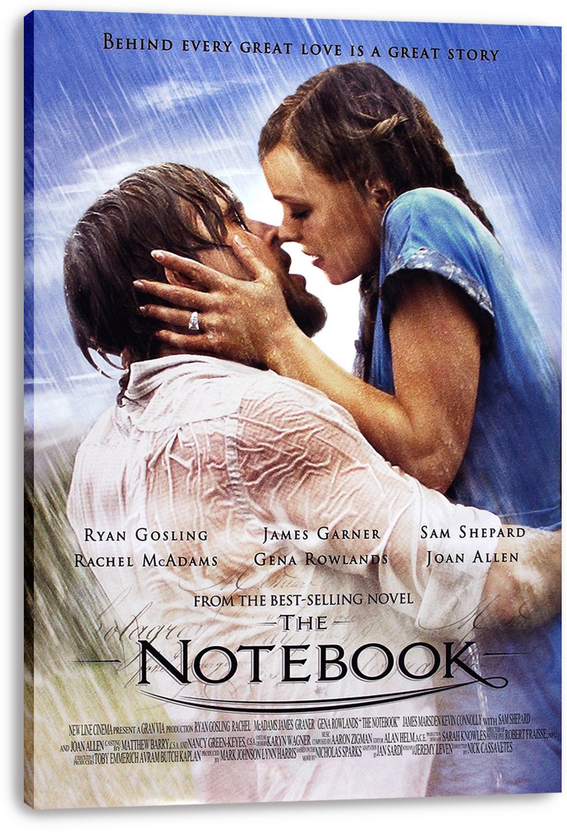 The Notebook Movie Kiss Scene Decorative Painting (paper and canvas) art poster printing print