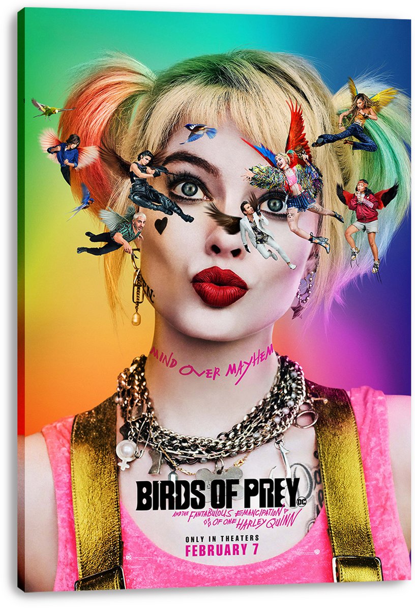 Harley Quinn & Birds of Prey Decorative Painting (paper and canvas) art poster printing print