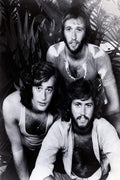 Bee Gees Decorative Painting (paper and canvas) art poster printing print