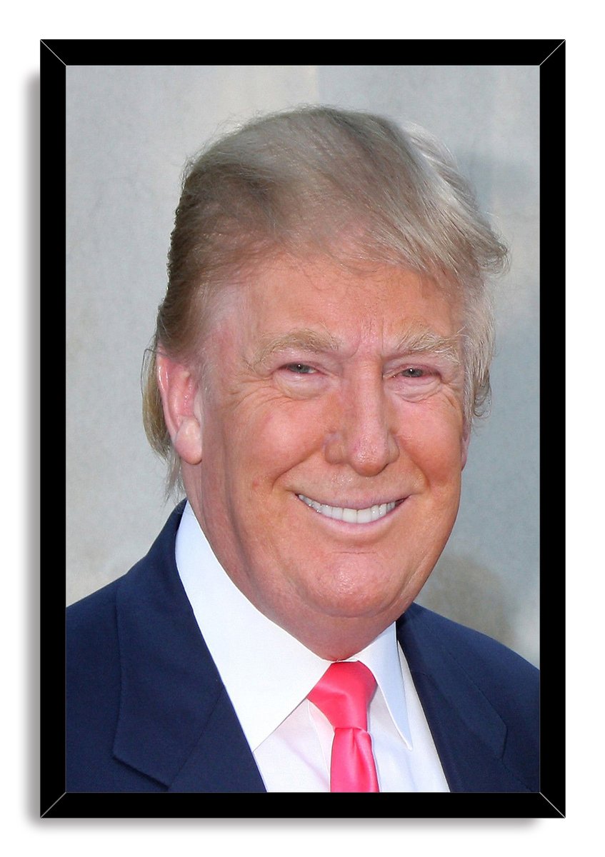 Donald Trump Decorative Painting (paper and canvas) art poster printing print