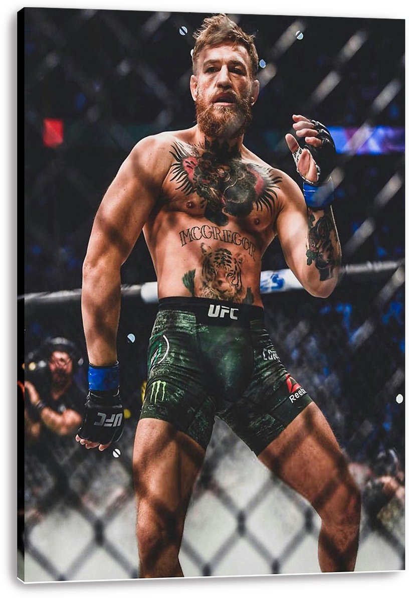 Conor McGregor Decorative Painting (paper and canvas) art poster printing print