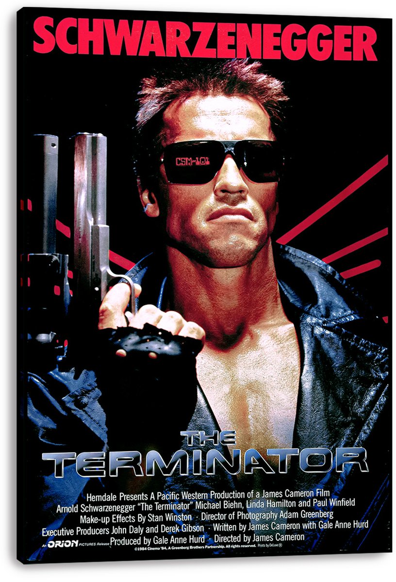 The Terminator Arnold Schwarzenegger Decorative Painting (paper and canvas) art poster printing print