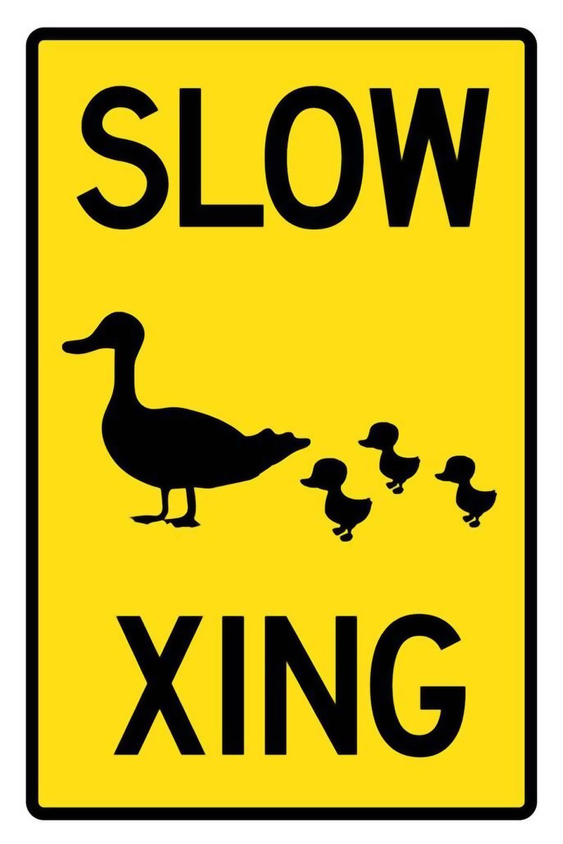 Slow Duck Crossing Sign Decorative Painting (paper and canvas) art poster printing print