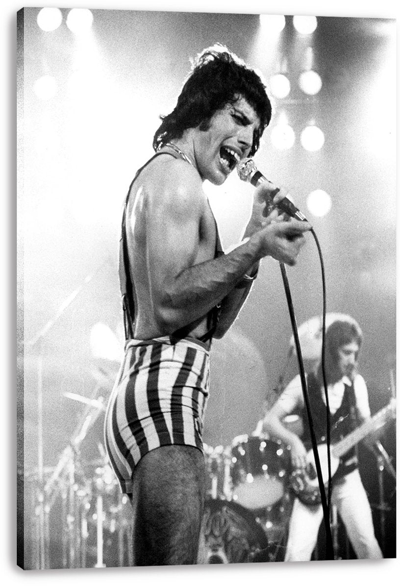 Freddie Mercury Decorative Painting (paper and canvas) art poster printing print