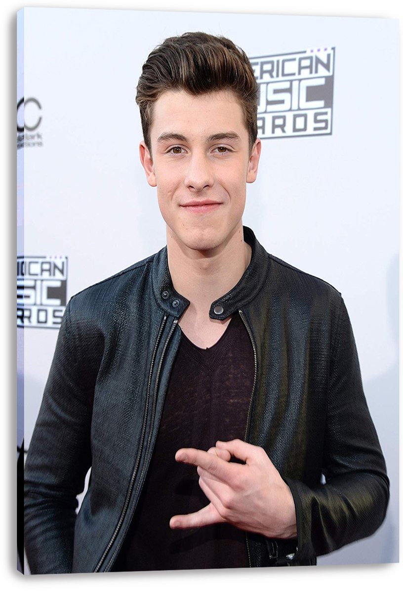Shawn Mendes Decorative Painting (paper and canvas) art poster printing print