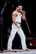 Freddie Mercury Decorative Painting (paper and canvas) art poster printing print