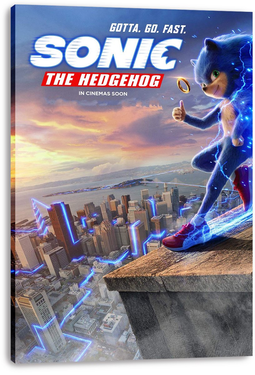 Sonic the Hedgehog Movie Decorative Painting (paper and canvas) art poster printing print