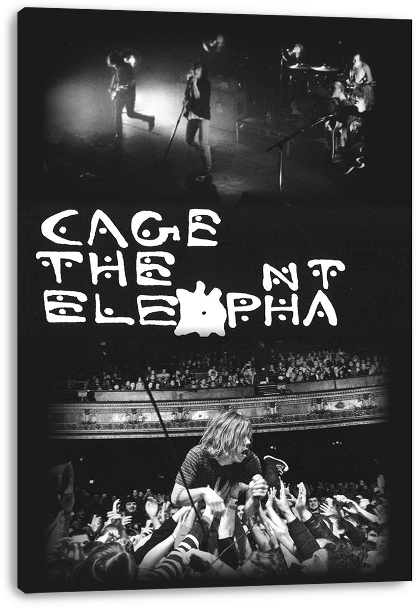 Cage the Elephant Decorative Painting (paper and canvas) art poster printing print