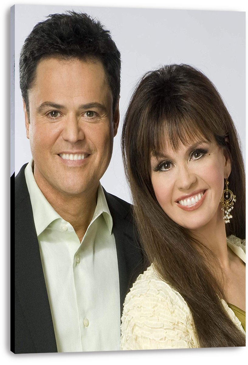 Donny & Marie Osmond Decorative Painting (paper and canvas) art poster printing print