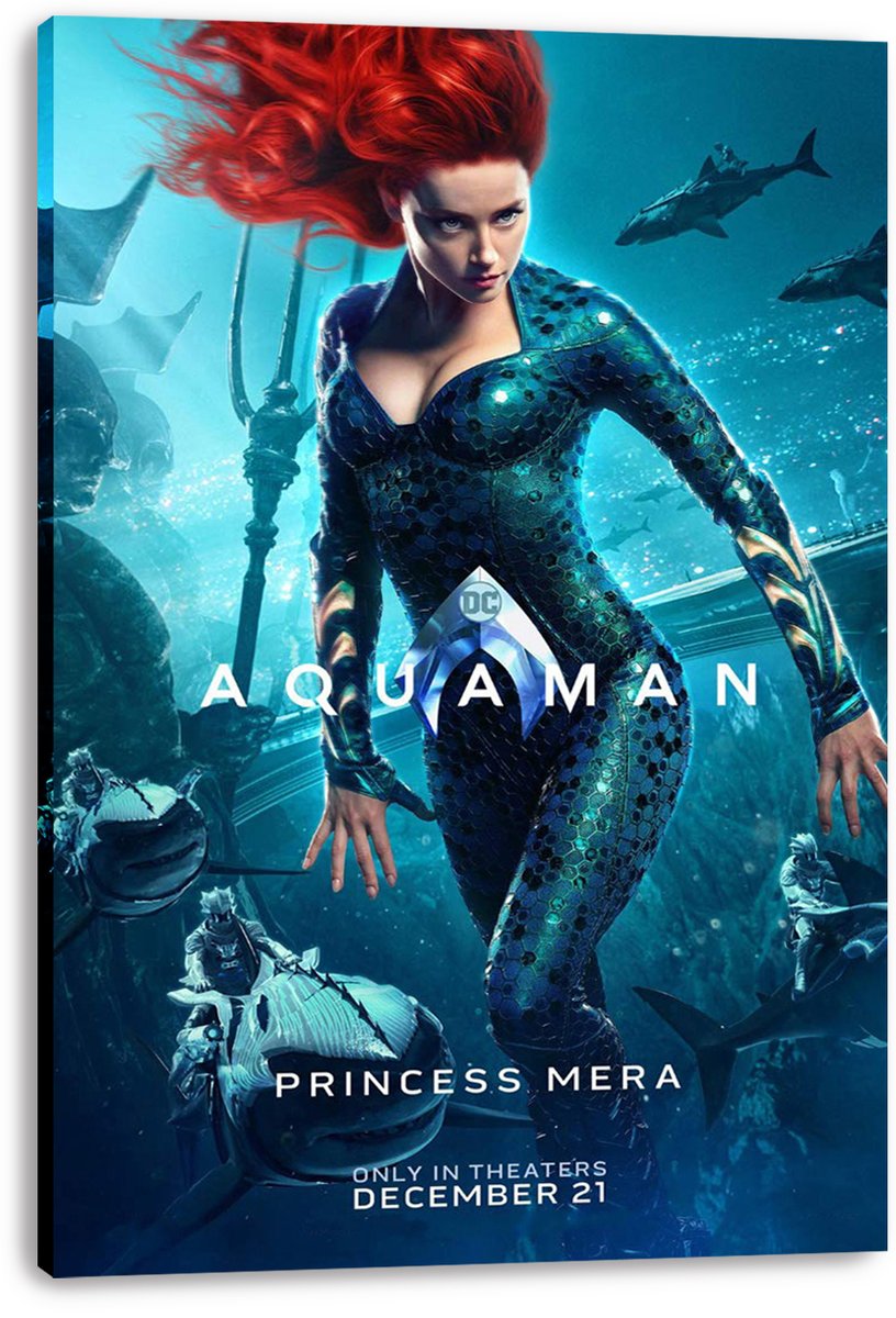 Princess Mera Aquaman Movie Decorative Painting (paper and canvas) art poster printing print