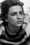 Timothée Chalamet Decorative Painting (paper and canvas) art poster printing print