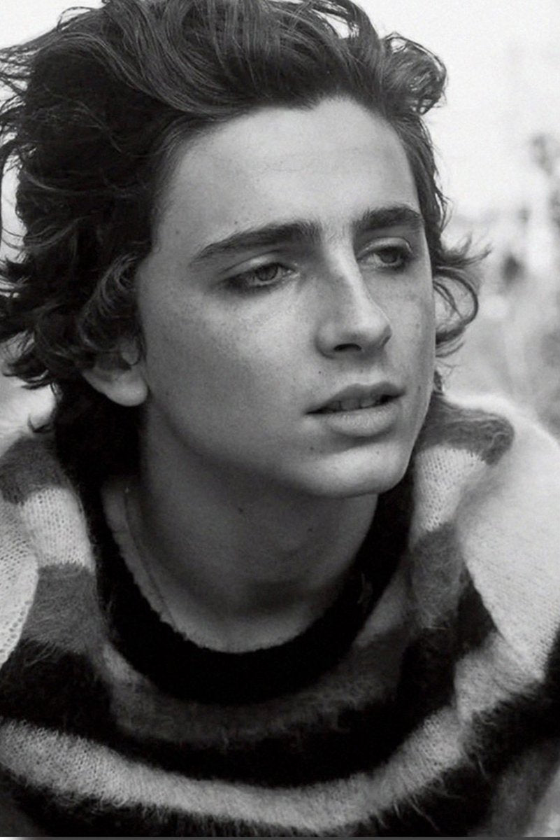 Timothée Chalamet Decorative Painting (paper and canvas) art poster printing print