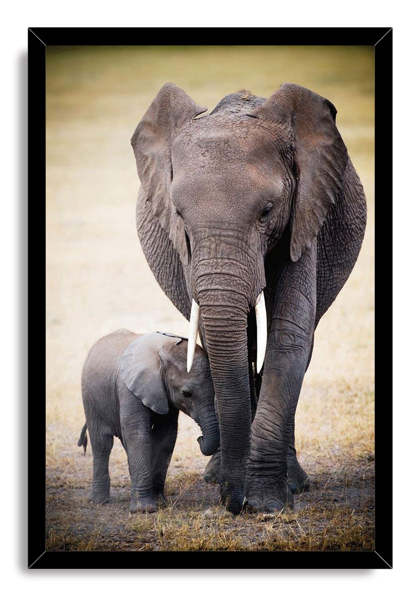 Mother and Baby Elephant Decorative Painting (paper and canvas) art poster printing print