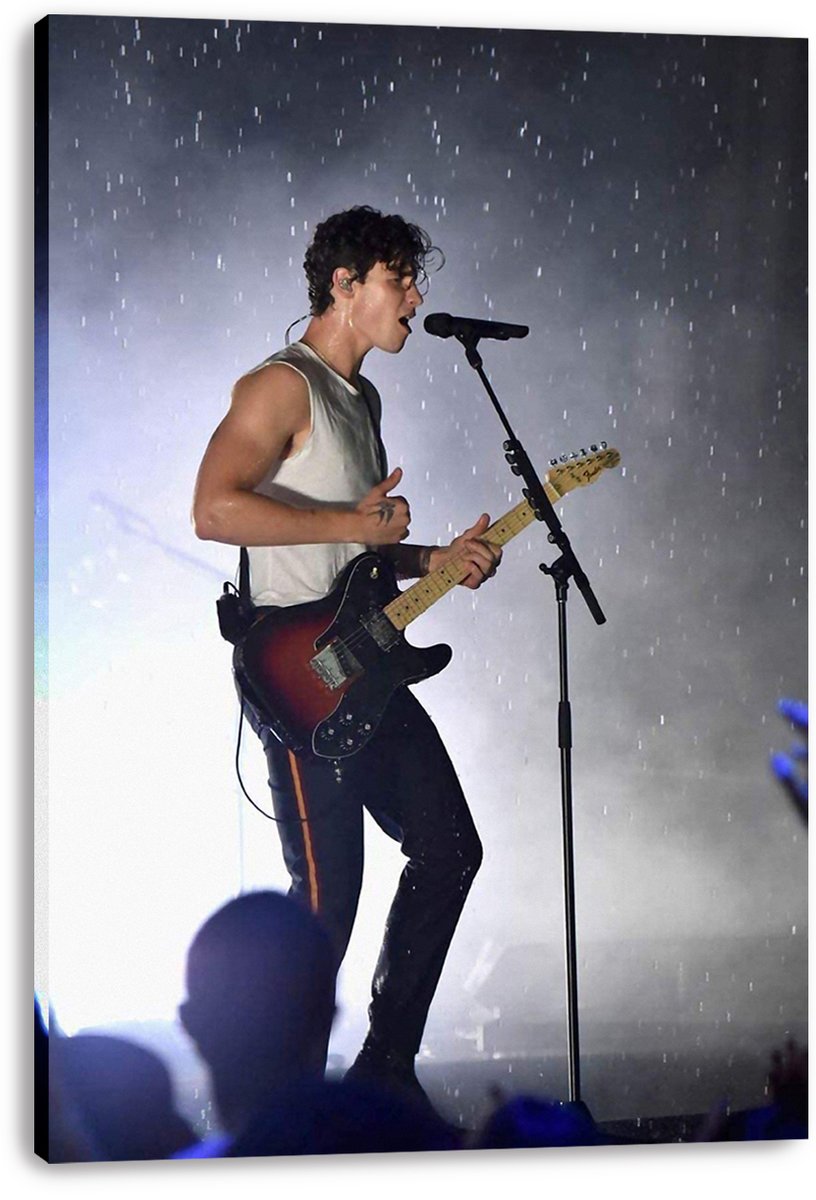 Shawn Mendes Decorative Painting (paper and canvas) art poster printing print