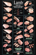 Lamb Cuts Butchery Diagram Decorative Painting (paper and canvas) art poster printing print