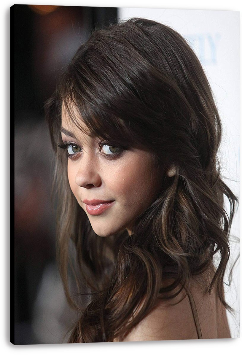 Sarah Hyland Decorative Painting (paper and canvas) art poster printing print