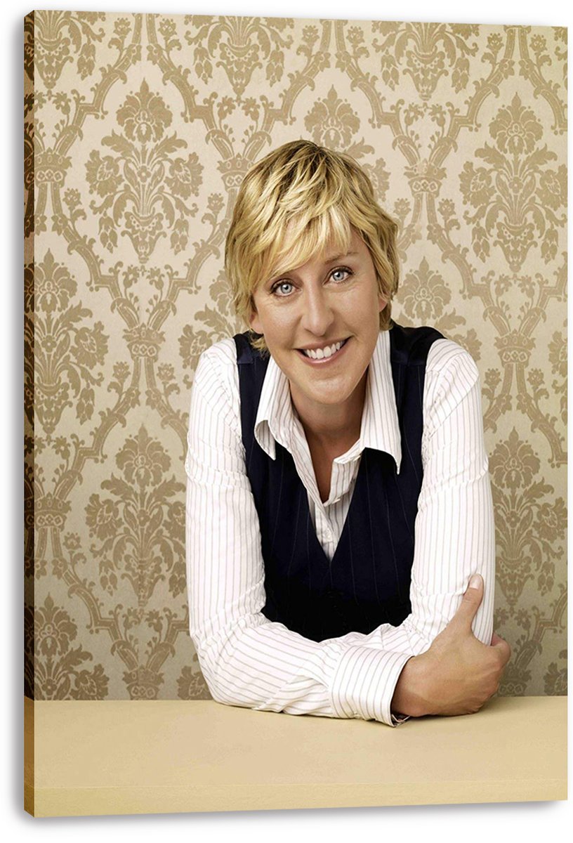 Ellen DeGeneres Decorative Painting (paper and canvas) art poster printing print
