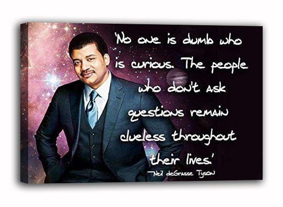 Neil de Grasse Tyson astrophysicist author and science communicator Poster (paper and canvas) art poster printing print