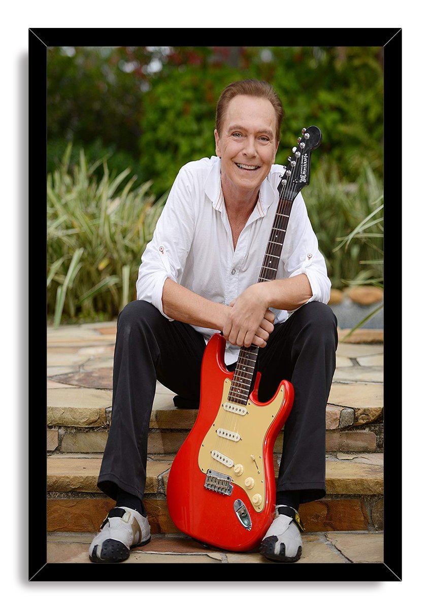 David Cassidy Decorative Painting (paper and canvas) art poster printing print