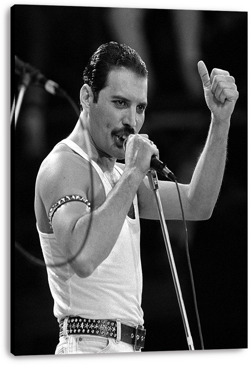 Freddie Mercury Decorative Painting (paper and canvas) art poster printing print