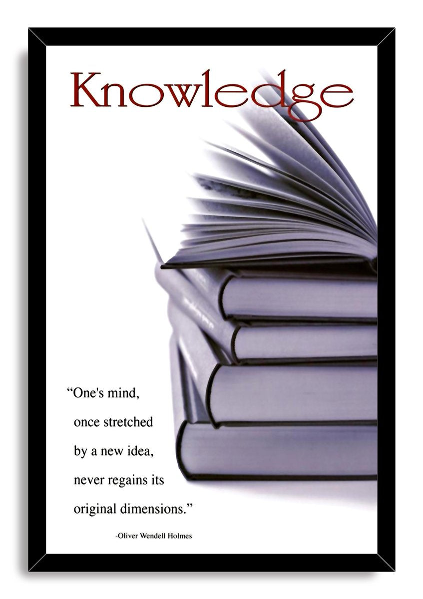Knowledge and Wisdom Books Inspirational Quote Decorative Painting (paper and canvas) art poster printing print