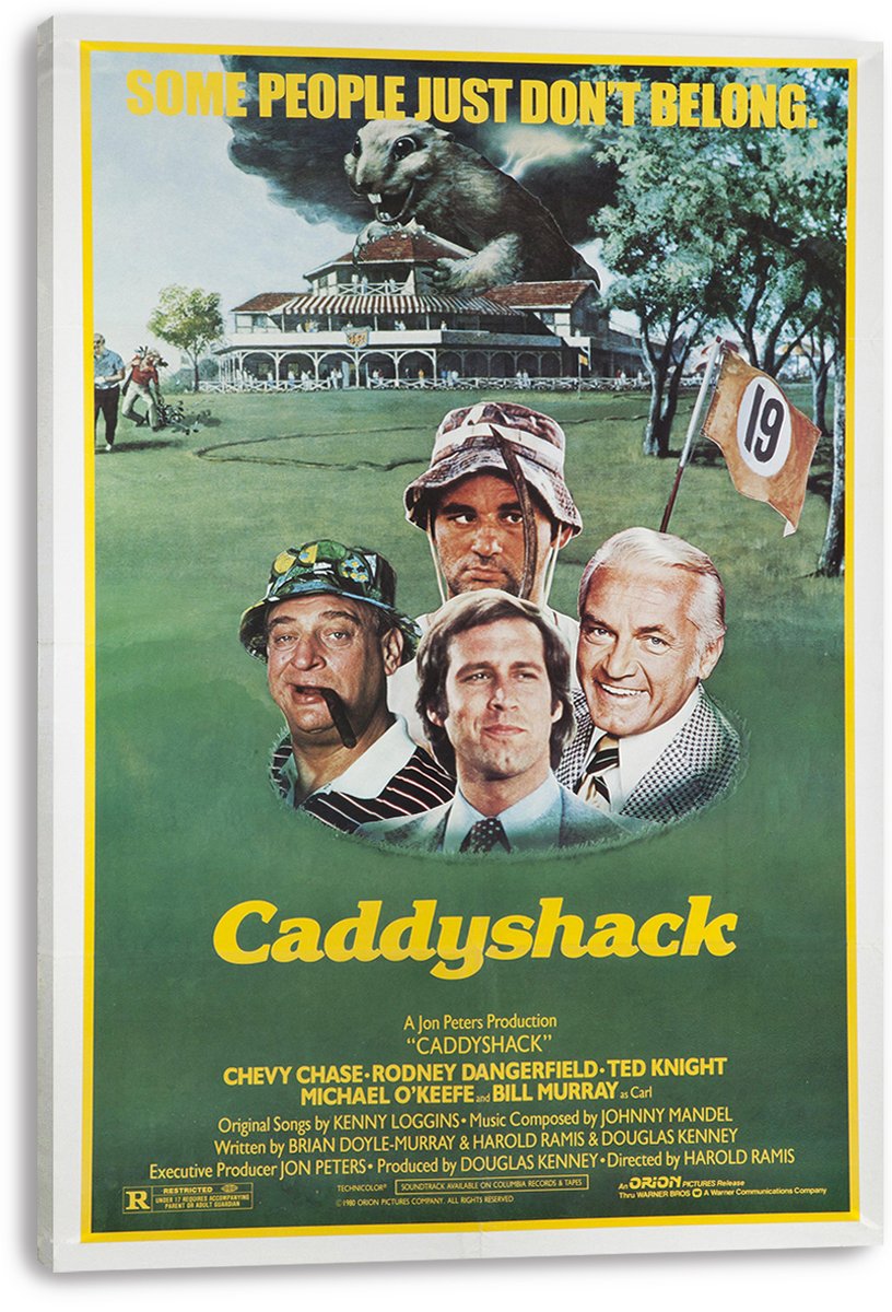 Caddyshack Movie Poster Decorative Painting (paper and canvas) art poster printing print