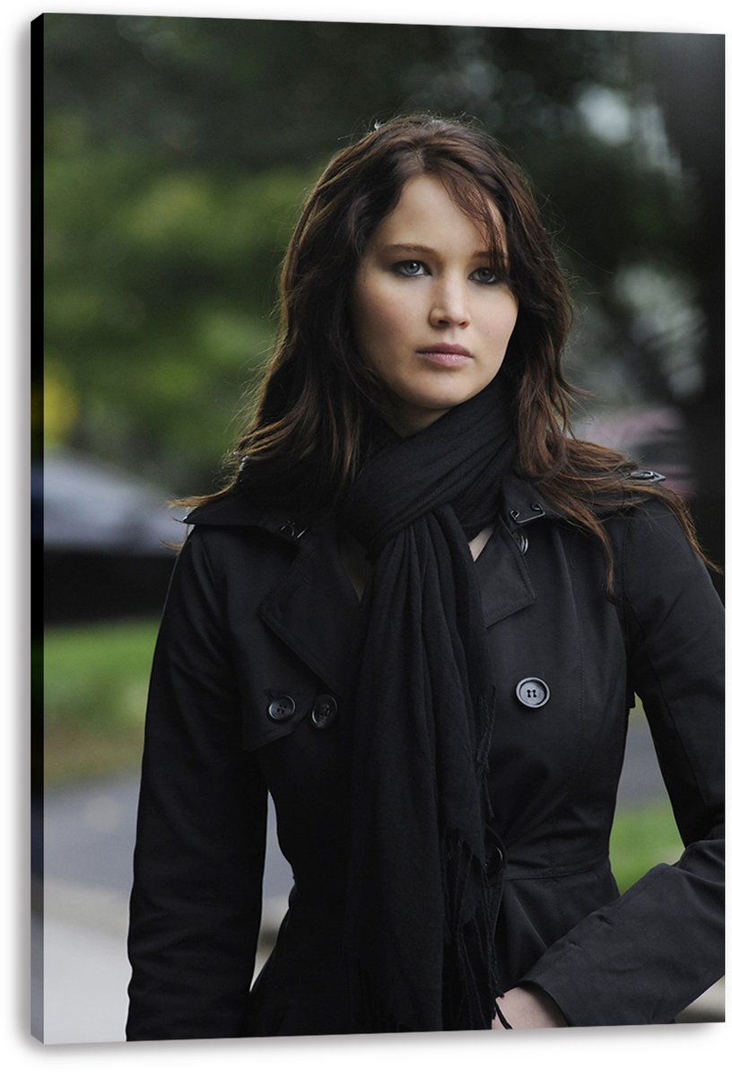 Jennifer Lawrence Decorative Painting (paper and canvas) art poster printing print