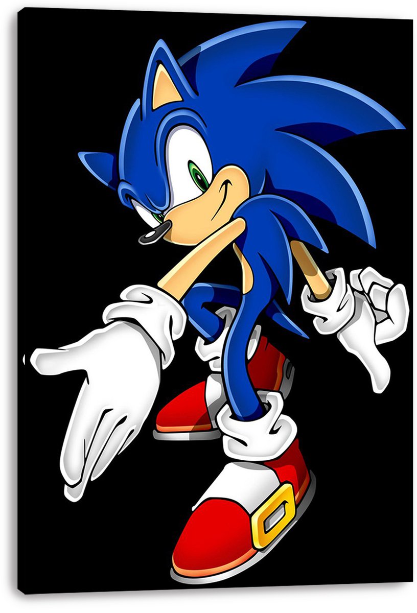 Sonic the Hedgehog Decorative Painting (paper and canvas) art poster printing print