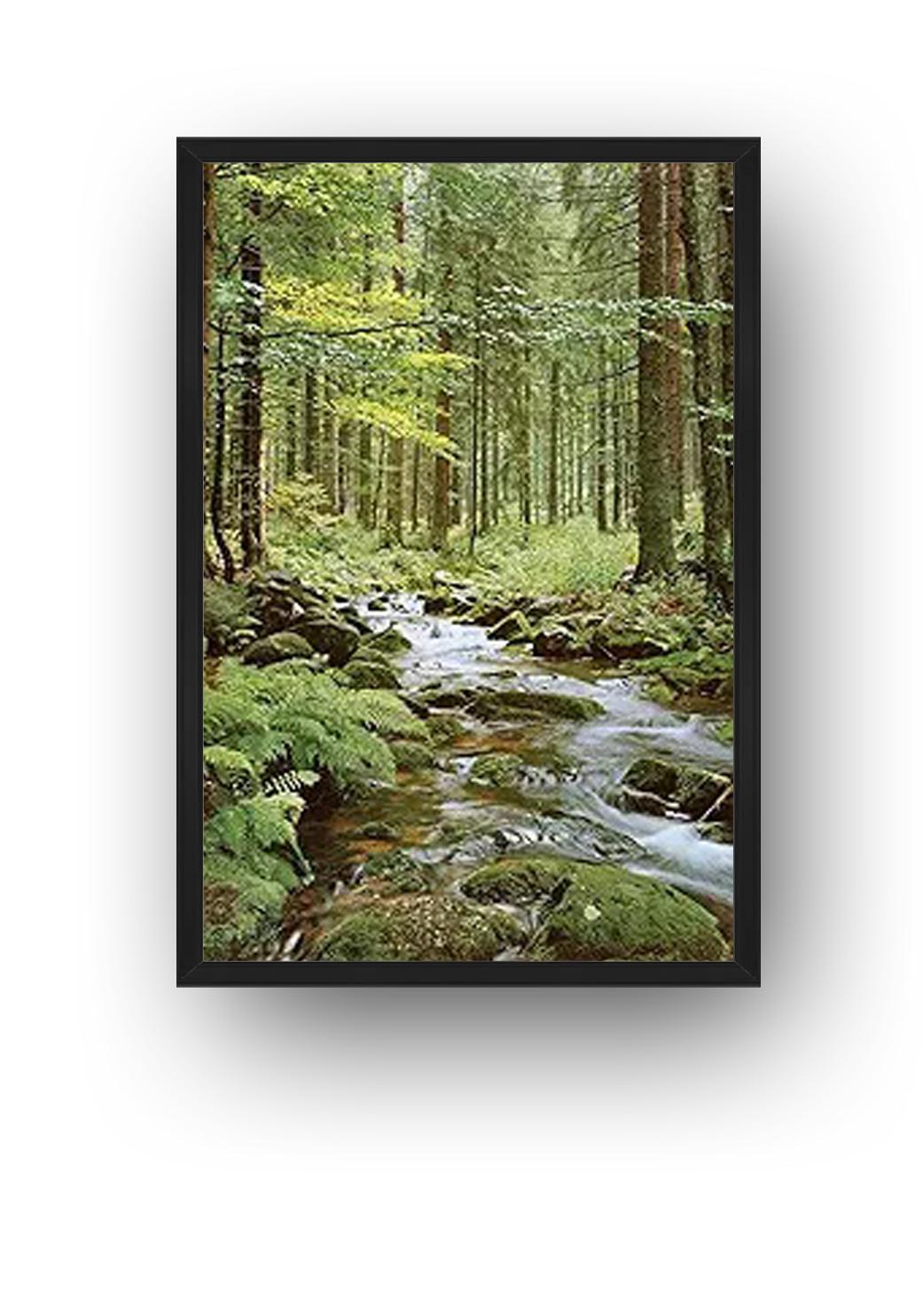 Wall Poster Forest Creek (Paper and Canvas) Art Poster Printing Print