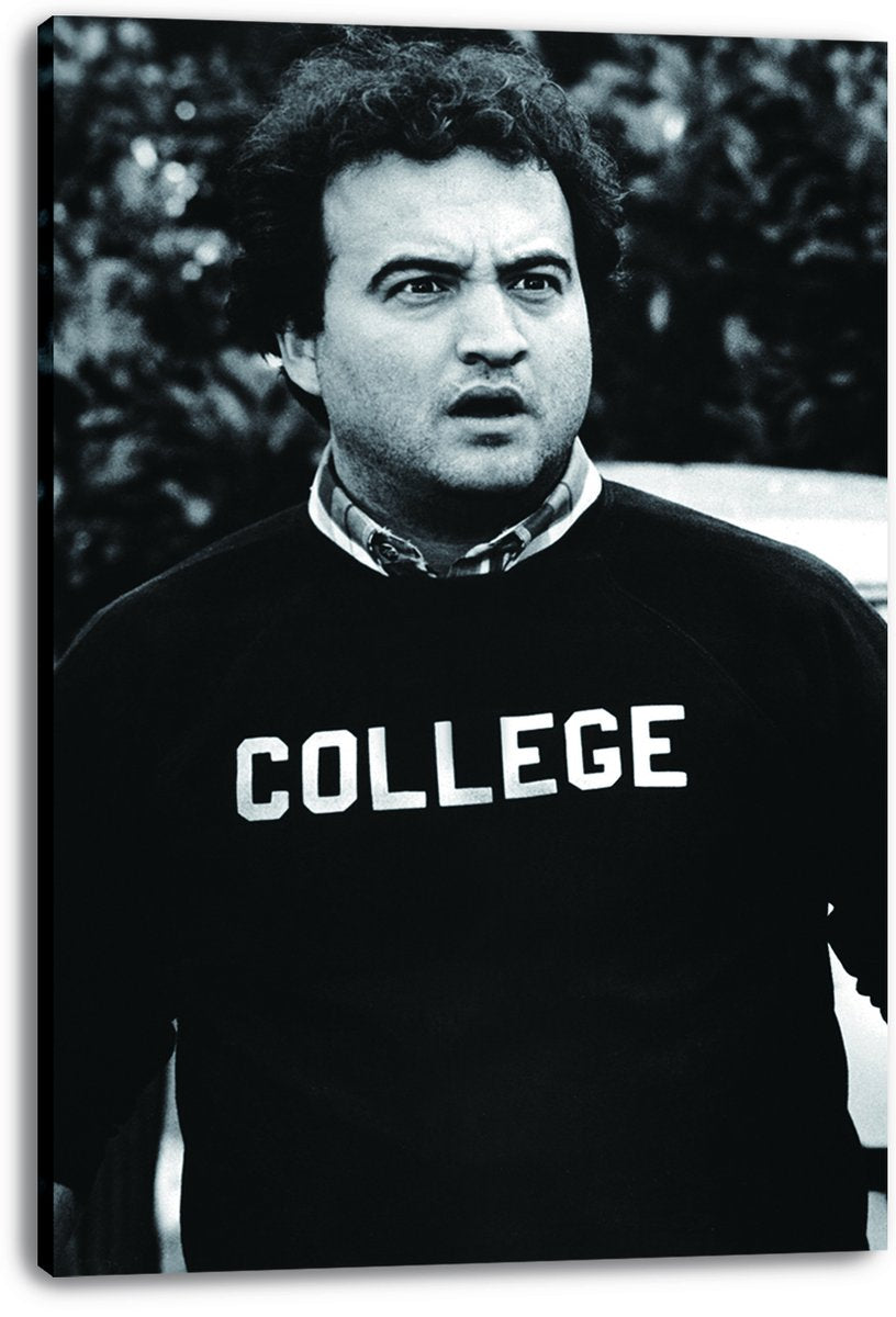 John Belushi as Bluto Blutarsky from Animal House Decorative Painting (paper and canvas) art poster printing print
