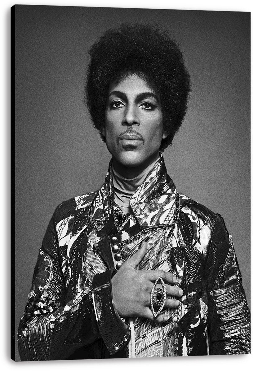 Prince Decorative Painting (paper and canvas) art poster printing print