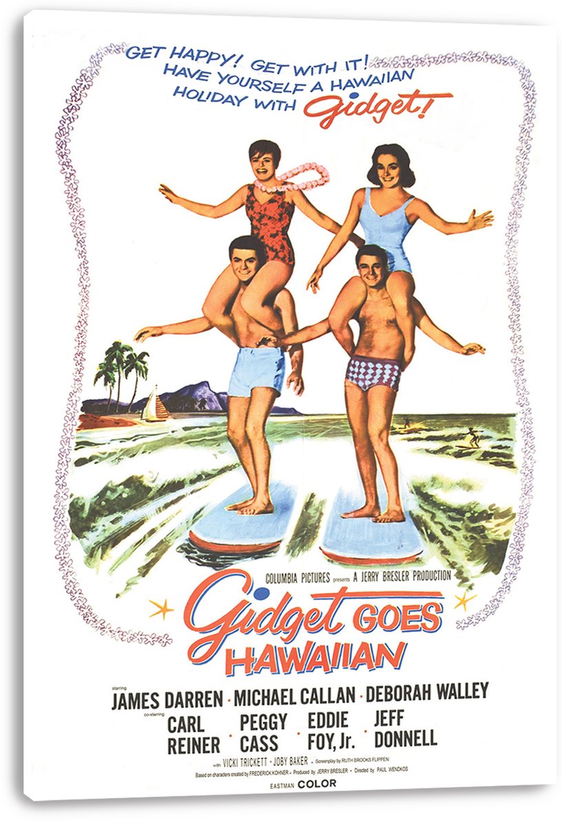 Gidget Goes Hawaiian Movie Poster Decorative Painting (paper and canvas) art poster printing print