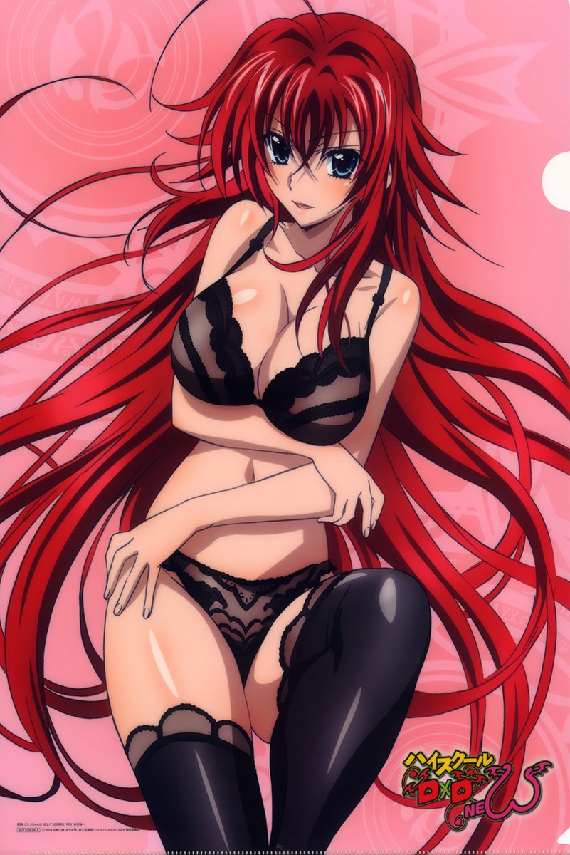 Rias Gremory High School DxD Anime Girl Decorative Painting (paper and canvas) art poster printing print