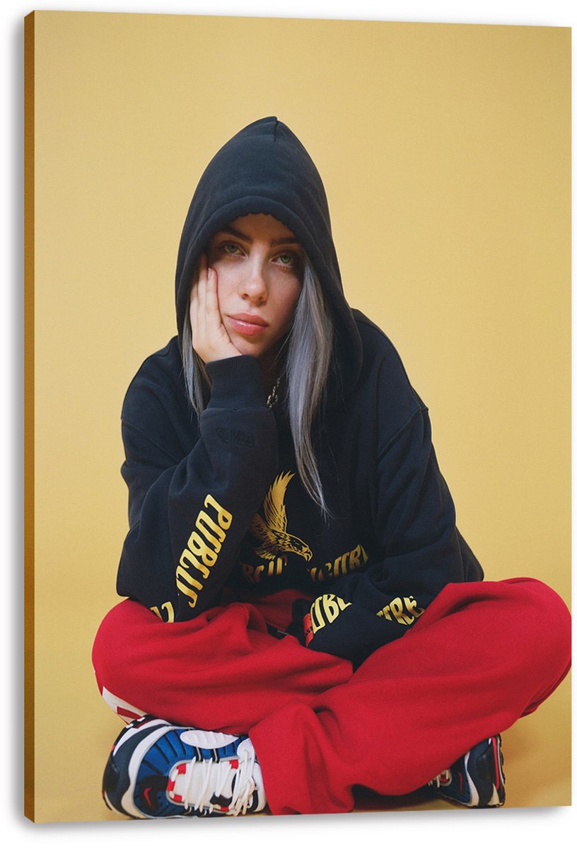 Billie Eilish Decorative Painting (paper and canvas) art poster printing print