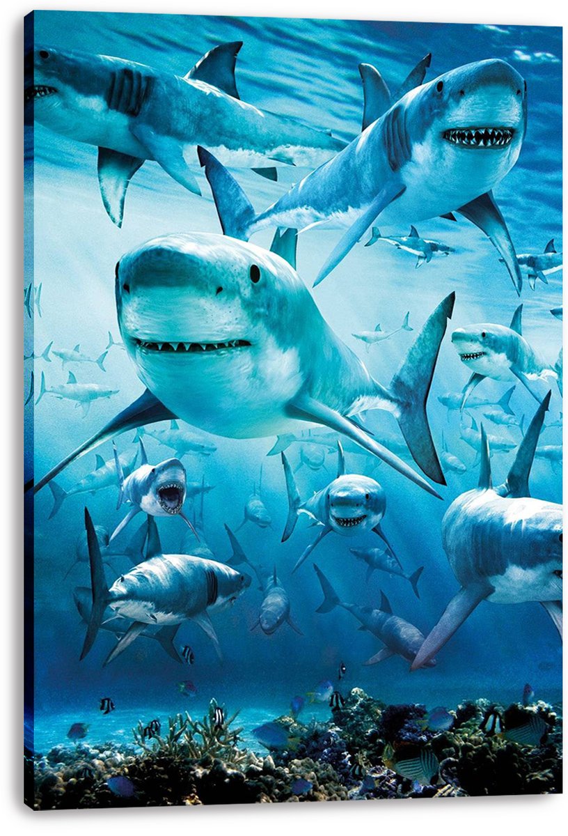Great White Sharks Decorative Painting (paper and canvas) art poster printing print