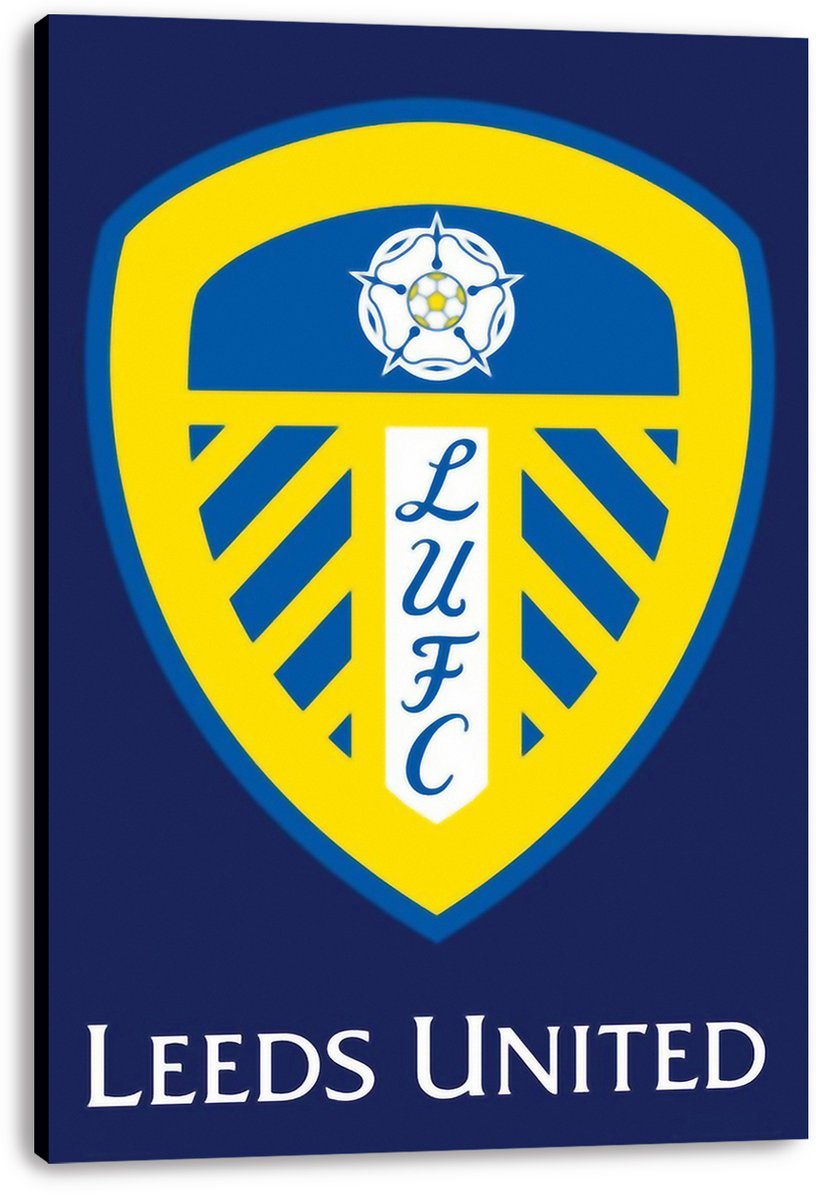 Leeds United Football Club Logo Decorative Painting (paper and canvas) art poster printing print