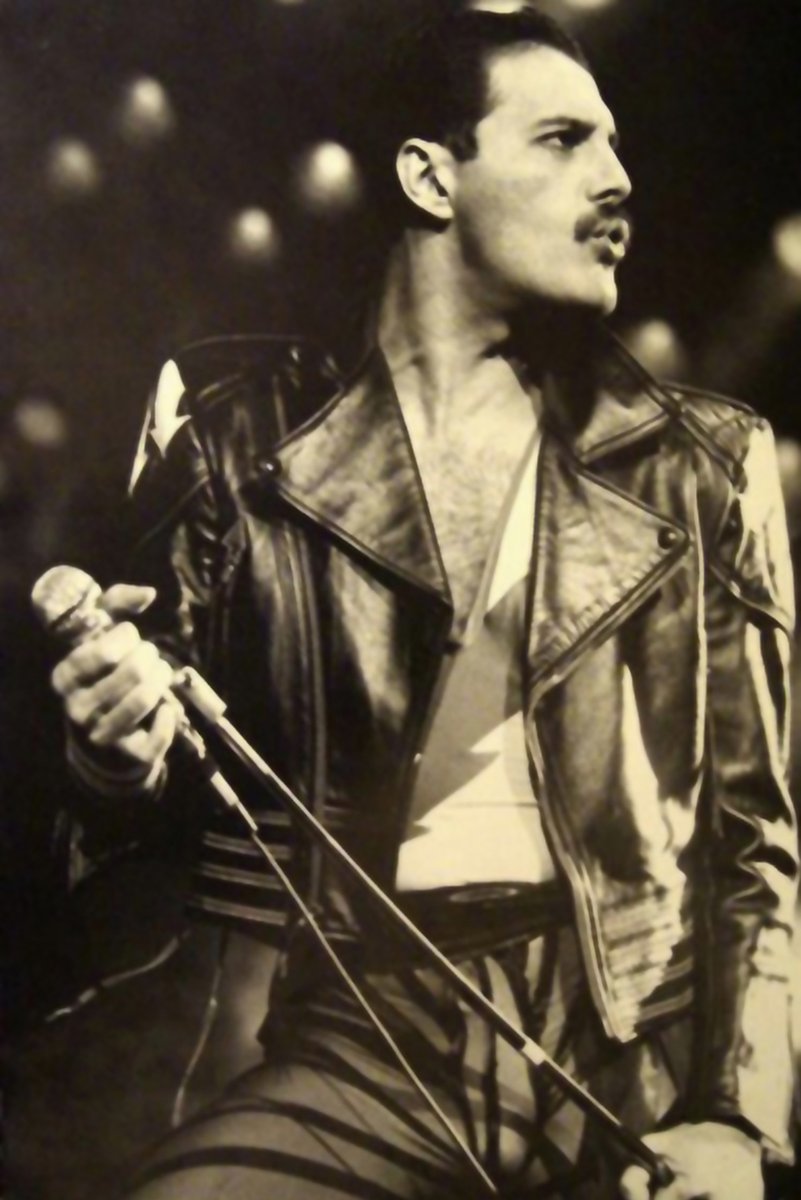 Freddie Mercury Decorative Painting (paper and canvas) art poster printing print