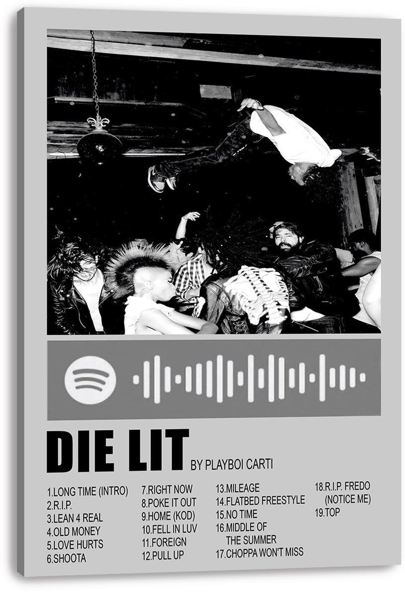 Playboi Carti Die Lit Album Art Decorative Painting (paper and canvas) art poster printing print