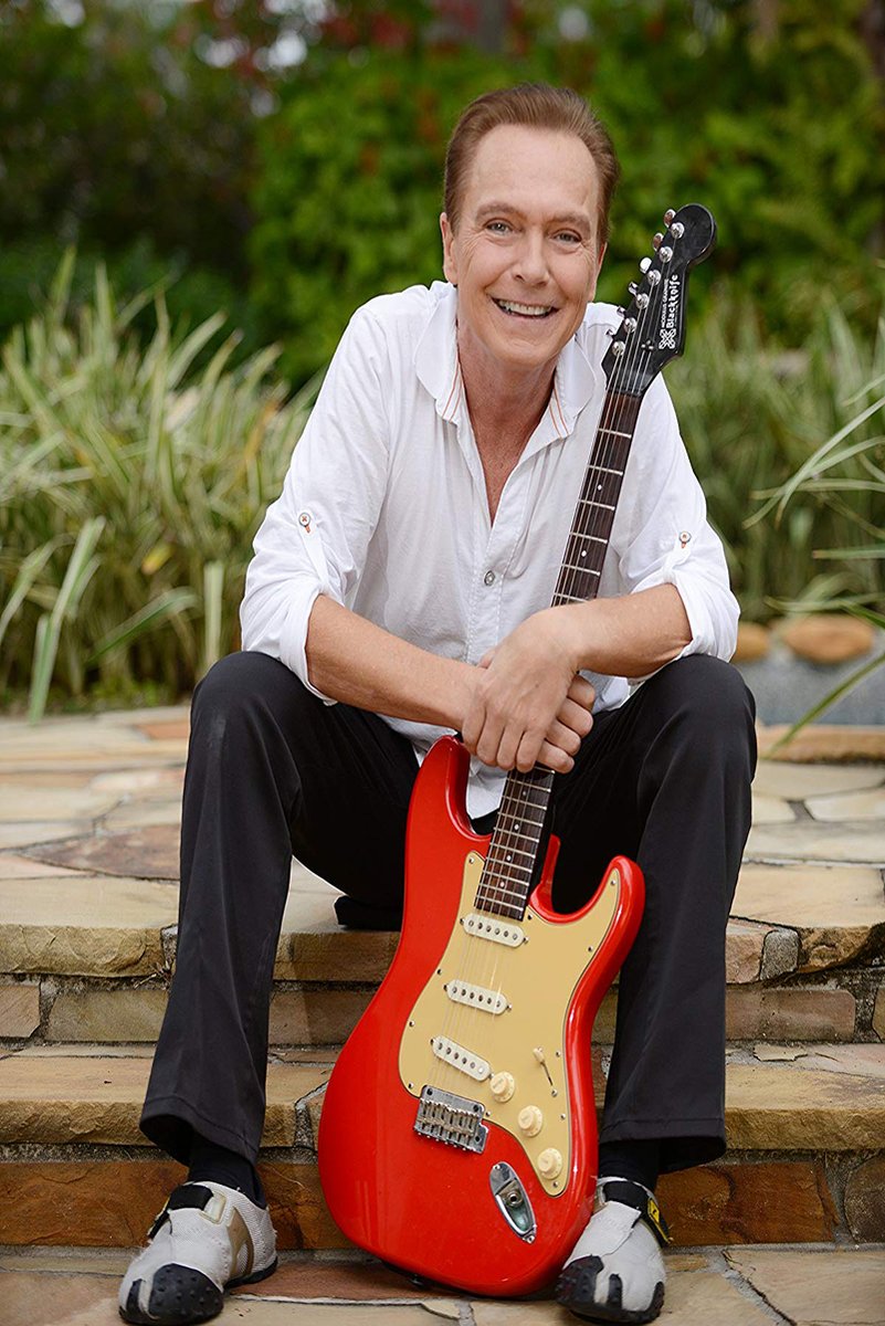 David Cassidy Decorative Painting (paper and canvas) art poster printing print