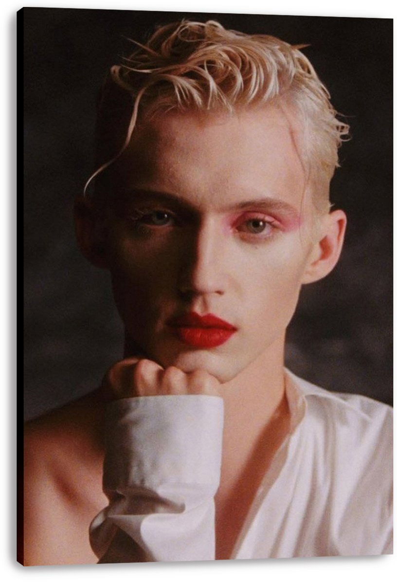 Troye Sivan Decorative Painting (paper and canvas) art poster printing print